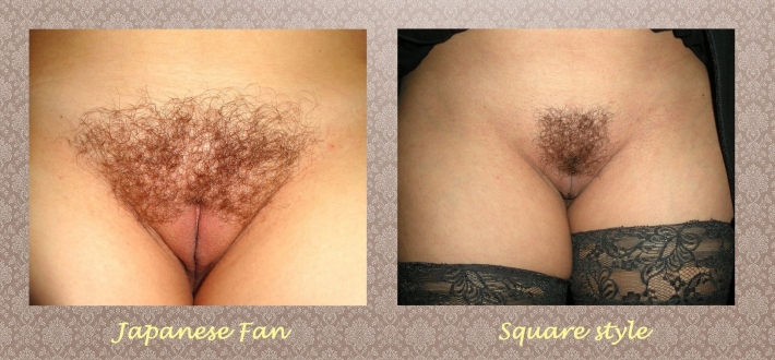 Лобковые волосы у женщин