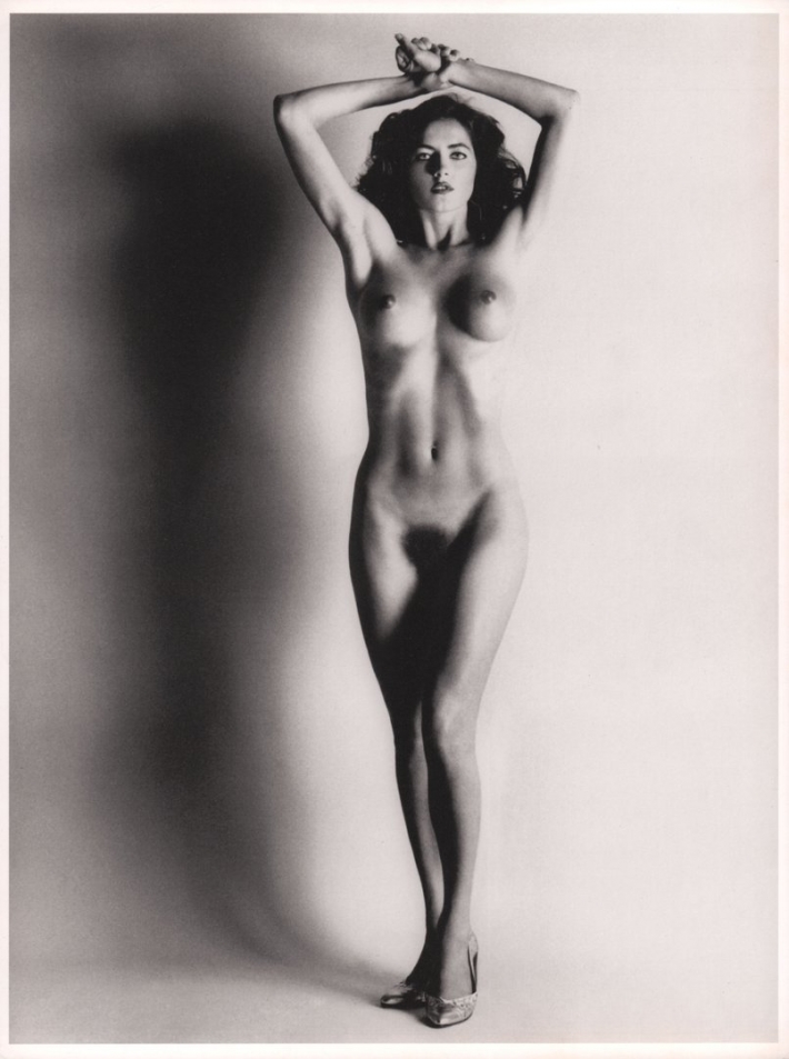 Ньютон хельмут