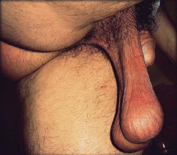 Мужские яйца порно