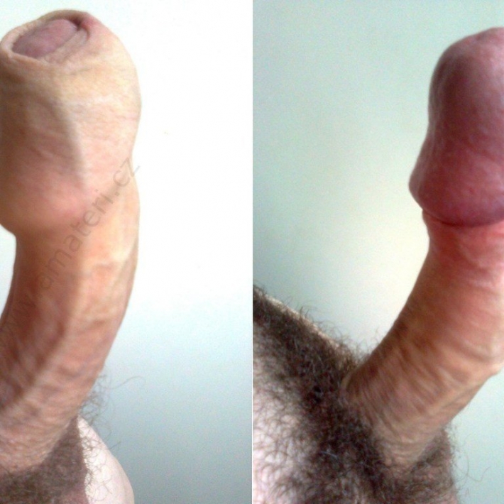 Виды членов порно