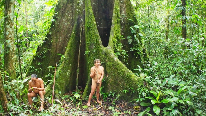 Транссексуалы в джунглях