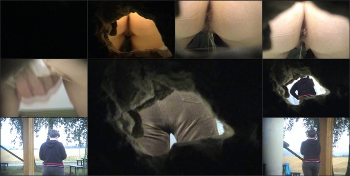 Скрытая камера в женском туалете