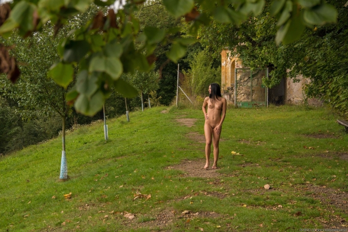 Прогулка голышом по лесу