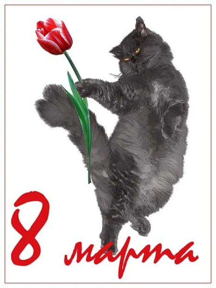 Котики с марта